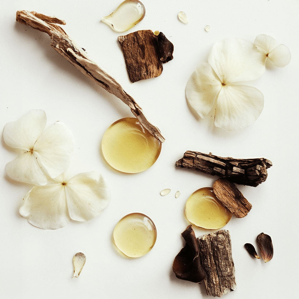 Bone & Butter 100% Grass Fed Whipped Beef Tallow - Vanilla Bean